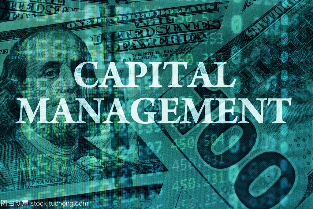 在背景上词语资本管理与财务数据