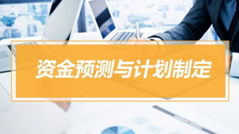 资金管理实操特训营 实务课程