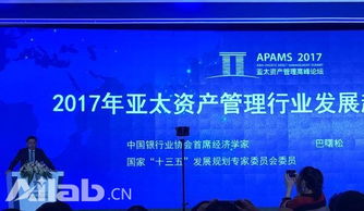 新浪6640万美元投资土豆网持股9.05% 资本管理战略解析