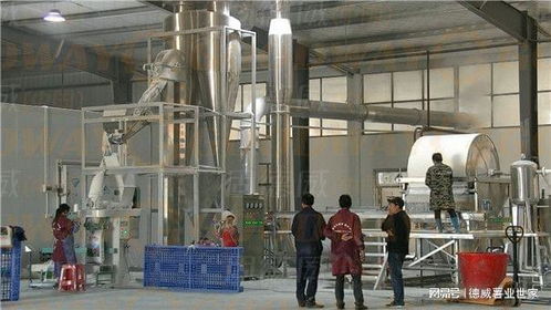 创建淀粉加工厂都包括哪些方面的资金投入